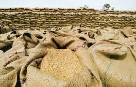 एफसीआई ने ई-नीलामी के पहले दिन थोक उपभोक्ताओं को 8.88 लाख टन गेहूं बेचा एफसीआई ने ई-नीलामी के पहले दिन थोक उपभोक्ताओं को 8.88 लाख टन गेहूं बेचा