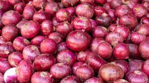 भारत ने प्रतिबंध हटने के बाद 45,000 टन से अधिक प्याज का निर्यात किया भारत ने प्रतिबंध हटने के बाद 45,000 टन से अधिक प्याज का निर्यात किया