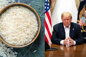 चावल निर्यातक अमेरिका में अतिरिक्त शुल्क के खतरे से बेपरवाह, 'डंपिंग' के आरोप को नकारा चावल निर्यातक अमेरिका में अतिरिक्त शुल्क के खतरे से बेपरवाह, 'डंपिंग' के आरोप को नकारा