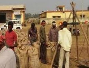  न्यूनतम समर्थन मूल्य पर पिछले 19 दिनों में 62.42 लाख टन खरीफ धान की खरीद