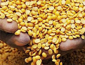 सरकार ने तुअर आयात के लाइसेंस की वैधता 31 दिसंबर तक बढ़ाई