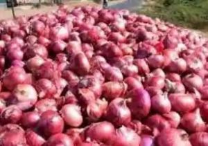  सरकार ने प्याज निर्यात से प्रतिबंध हटाने का फैसला किया, एक जनवरी 2021 से हो सकेगा निर्यात