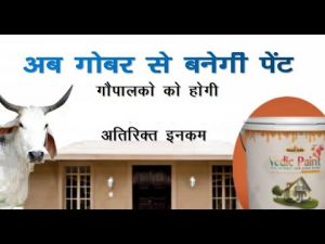 गाय के गोबर से बनेगा अब पेंट