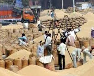 धान की सरकारी खरीद 18 प्रतिशत बढ़कर 616.43 लाख टन तक पहुंची