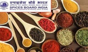  मसाला बोर्ड का 2030 तक 10 अरब डॉलर के निर्यात का लक्ष्य