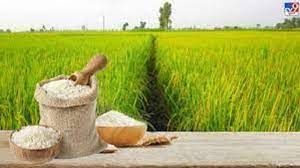 बासमती का रकबा 20 प्रतिशत बढ़ाने का लक्ष्य तय किया
