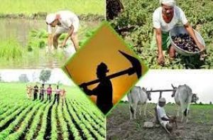 कृषि मंत्रालय ने बैंकों से कृषि अवसंरचना कोष को बढ़ावा देने को कहा