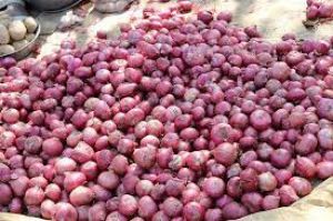 प्याज की कुछ खेप का 30 नवंबर तक किया जा सकता है निर्यात : सरकार