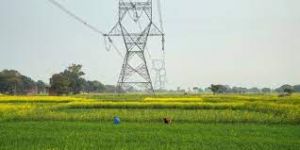 कृषि क्षेत्र में बिजली का उपयोग 37.1 प्रतिशत पर पहुंचा