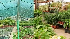 2023-24 में बागवानी उत्पादन में मामूली गिरावट, फलों का उत्पादन बढ़ा 2023-24 में बागवानी उत्पादन में मामूली गिरावट, फलों का उत्पादन बढ़ा