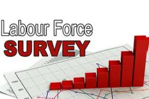 जुलाई, 2023 से जून, 2024 तक बेरोजगारी दर 3.2 प्रतिशत पर स्थिर जुलाई, 2023 से जून, 2024 तक बेरोजगारी दर 3.2 प्रतिशत पर स्थिर