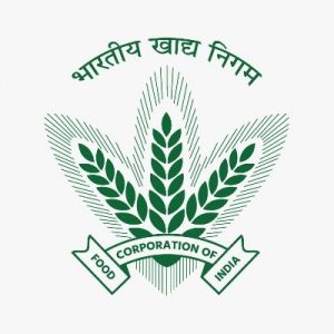 पंजाब की मंडियों में 126 लाख मीट्रिक टन से अधिक धान पहुंँचा