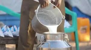 भारत दुनिया का शीर्ष दुग्ध उत्पादक देश: सरकार