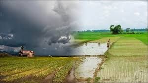 मानसून का पूर्वानुमान कृषि क्षेत्र के लिए अच्छा, खपत को मिलेगा बढ़ावा: इंडिया रेटिग्स