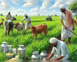 डेयरी और कृषि से जुड़े सामानो पर जीएसटी में कटौती से 10 करोड़ किसानों को फायदा