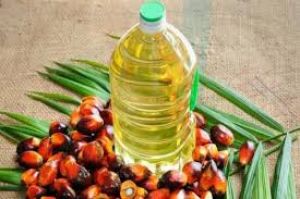    बीते सप्ताह सरसों में गिरावट, सोयाबीन तेल और पाम-पामोलीन में सुधार