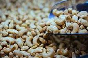  केंद्रीय बजट 2026-27 में भारतीय काजू और कोको के लिए एक समर्पित कार्यक्रम की पेशकश