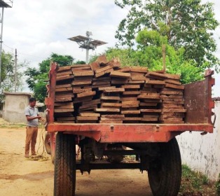 लगभग सवा लाख रूपए मूल्य के 114 नग सागौन चिरान जप्त लगभग सवा लाख रूपए मूल्य के 114 नग सागौन चिरान जप्त