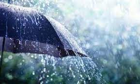 महासमुंद : जिले में अब तक 236.3 मिलीमीटर औसत वर्षा महासमुंद : जिले में अब तक 236.3 मिलीमीटर औसत वर्षा