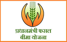 अब 16 अगस्त तक फसल बीमा करा सकते हैं किसान अब 16 अगस्त तक फसल बीमा करा सकते हैं किसान