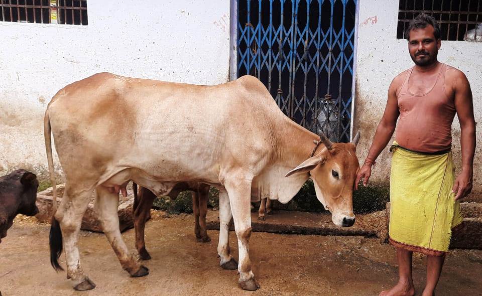 कृत्रिम गर्भाधान योजना से मिल रहा है आर्थिक संबल कृत्रिम गर्भाधान योजना से मिल रहा है आर्थिक संबल