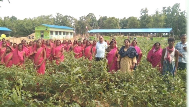 आवर्ती चराई योजना से आर्थिक समृद्धि की राह हुई प्रशस्त आवर्ती चराई योजना से आर्थिक समृद्धि की राह हुई प्रशस्त