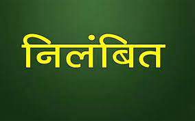 निर्वाचन कार्य में लापरवाही बरतने पर भृत्य निलंबित निर्वाचन कार्य में लापरवाही बरतने पर भृत्य निलंबित