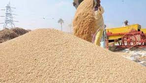 बालोद जिले में अब तक 03 लाख 38 हजार 338 मेट्रिक टन से अधिक धान की हुई खरीदी बालोद जिले में अब तक 03 लाख 38 हजार 338 मेट्रिक टन से अधिक धान की हुई खरीदी