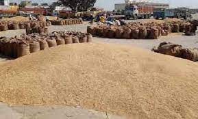 किसानों के हित में लिया बड़ा फैसला 4 फरवरी तक होगी समर्थन मूल्य और लिंकिंग पर धान खरीदी किसानों के हित में लिया बड़ा फैसला 4 फरवरी तक होगी समर्थन मूल्य और लिंकिंग पर धान खरीदी