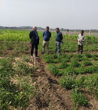 भविष्य में आर्टीफिशियल इंटेलीजेंस द्वारा खरपतवार प्रबंधन होगा भविष्य में आर्टीफिशियल इंटेलीजेंस द्वारा खरपतवार प्रबंधन होगा