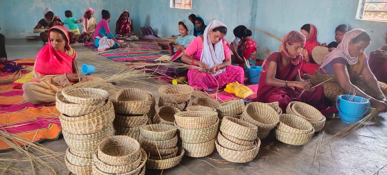 महिला सशक्तिकरण का अनूठा उदाहरण पेश कर रहा है जशपुर का कोटानपानी महिला सशक्तिकरण का अनूठा उदाहरण पेश कर रहा है जशपुर का कोटानपानी