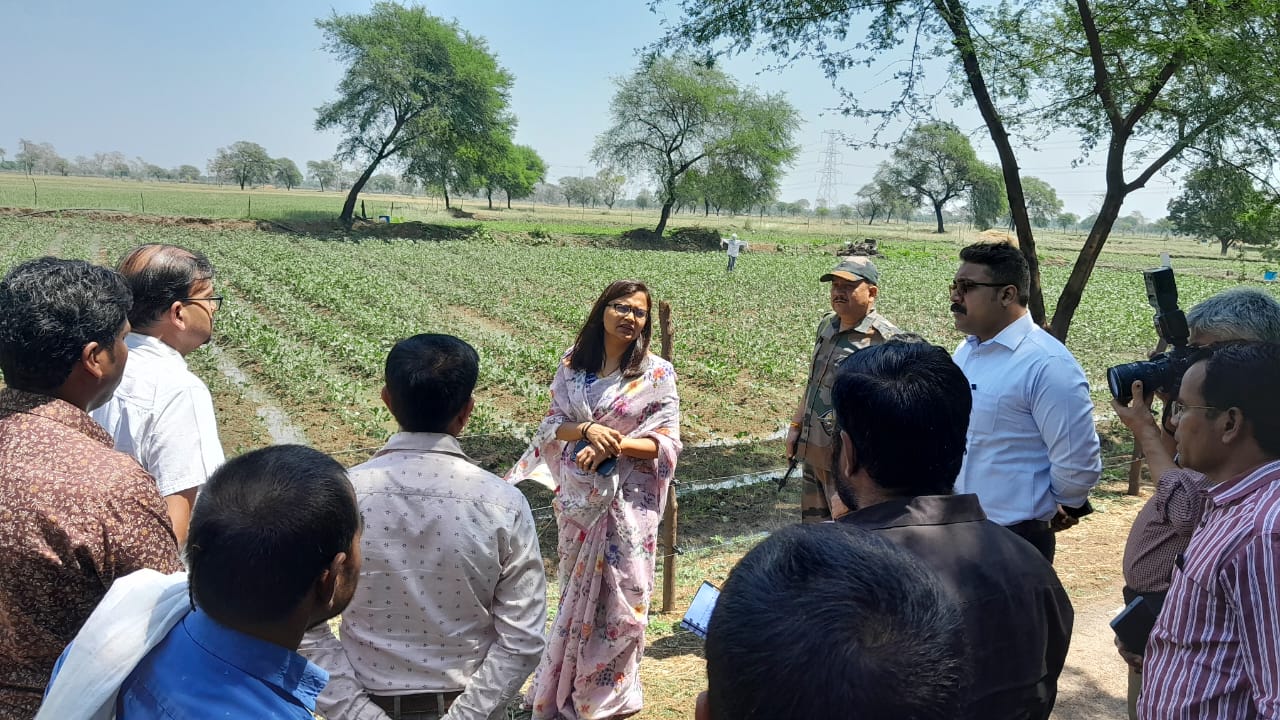 बारिश से हुई फसल नुकसान देखने कलेक्टर पहुंची खेतों में बारिश से हुई फसल नुकसान देखने कलेक्टर पहुंची खेतों में