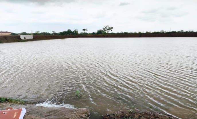अमृत सरोवर से बदली काठाकोनी की तस्वीर अमृत सरोवर से बदली काठाकोनी की तस्वीर