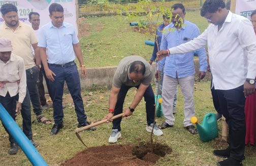 स्वच्छता ही सेवा पखवाड़ा : एक पेड़ मां के नाम अभियान के तहत पौधे लगाए गए स्वच्छता ही सेवा पखवाड़ा : एक पेड़ मां के नाम अभियान के तहत पौधे लगाए गए