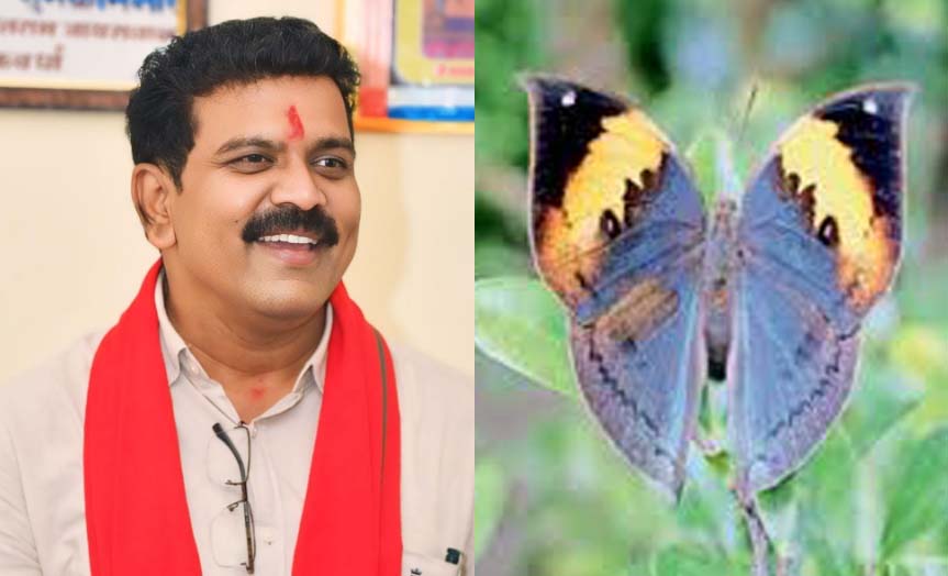 कबीरधाम में तीन दिवसीय भोरमदेव तितली सम्मेलन 27 सितंबर को होगा कबीरधाम में तीन दिवसीय भोरमदेव तितली सम्मेलन 27 सितंबर को होगा