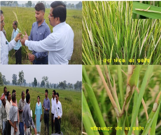 कृषि विज्ञान केन्द्र के वैज्ञानिकों के साथ उपसंचालक कृषि, बिलासपुर ने किया संयुक्त नैदानिक भ्रमण कृषि विज्ञान केन्द्र के वैज्ञानिकों के साथ उपसंचालक कृषि, बिलासपुर ने किया संयुक्त नैदानिक भ्रमण