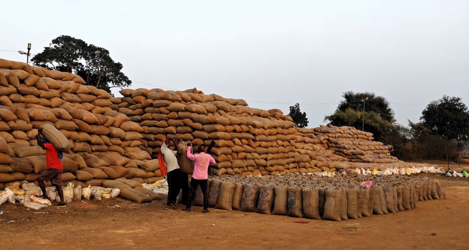 प्रति एकड़ 21 क्विंटल धान बिक्री एवं 72 घण्टे में अपने खाते में पैसा जमा होने से प्रसन्नचित हुए किसान धनसिंह एवं होमलाल प्रति एकड़ 21 क्विंटल धान बिक्री एवं 72 घण्टे में अपने खाते में पैसा जमा होने से प्रसन्नचित हुए किसान धनसिंह एवं होमलाल