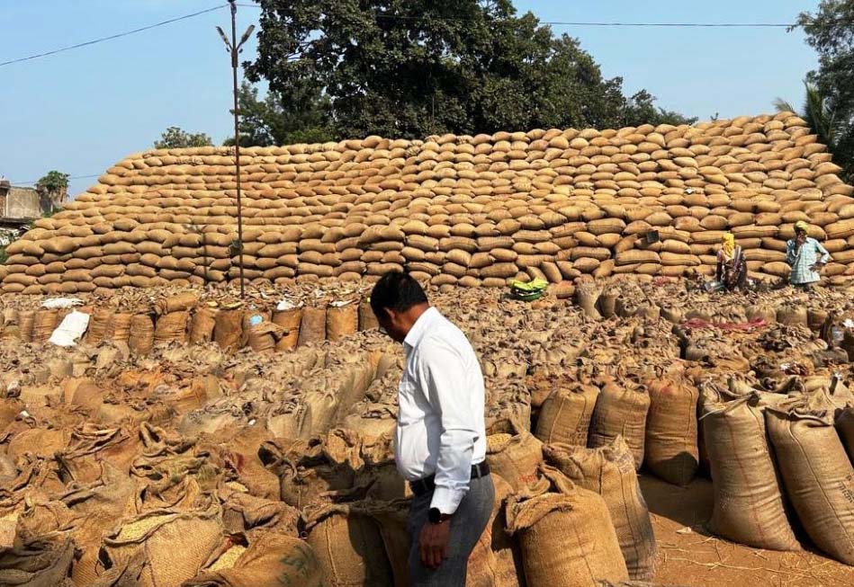 महासमुंद जिले में अब तक 84475 किसानों से 451951.8 टन धान खरीदा गया महासमुंद जिले में अब तक 84475 किसानों से 451951.8 टन धान खरीदा गया