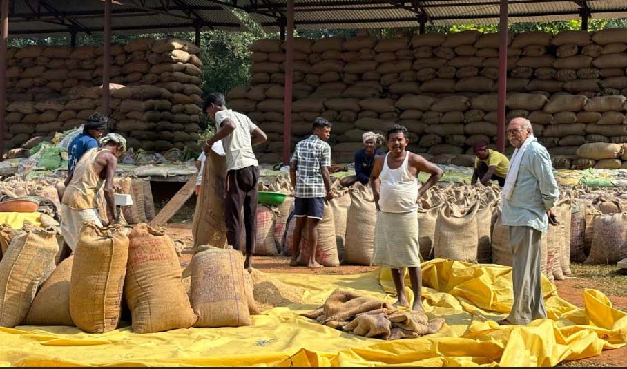दंतेवाड़ा जिले में अब तक 50906.80 क्विंटल धान की हुई खरीदी, 960 क्विंटल का हो चुका उठाव दंतेवाड़ा जिले में अब तक 50906.80 क्विंटल धान की हुई खरीदी, 960 क्विंटल का हो चुका उठाव