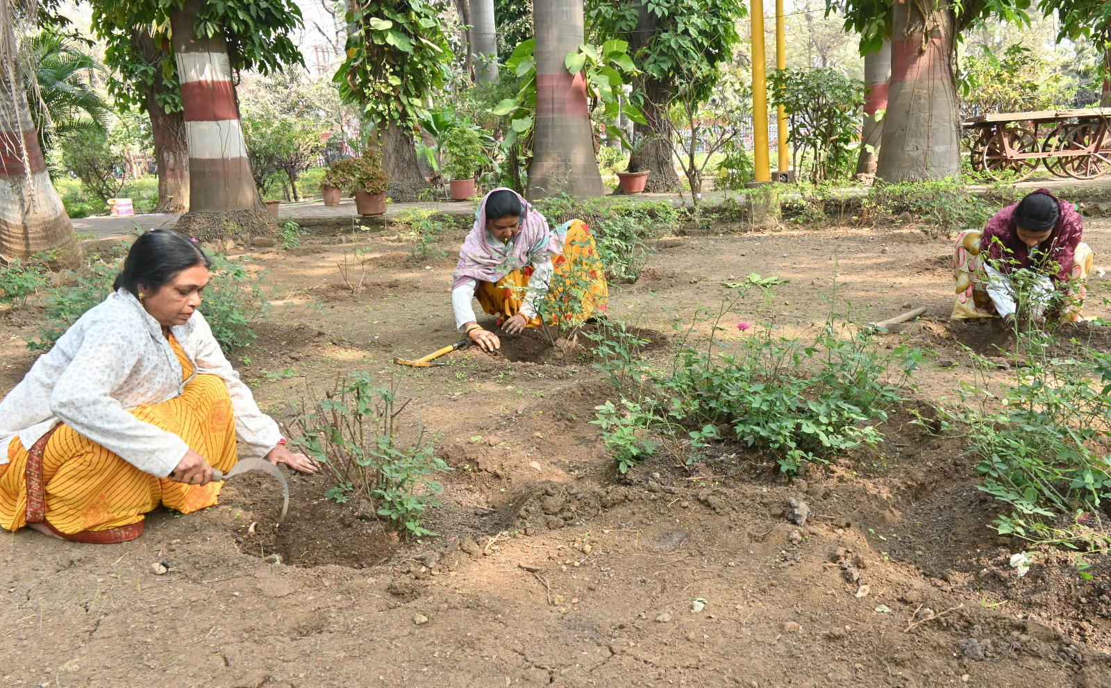निगम भिलाई के 42 नियमित कर्मचारियो का उद्यान विभाग में डयूटी लगाई गई निगम भिलाई के 42 नियमित कर्मचारियो का उद्यान विभाग में डयूटी लगाई गई