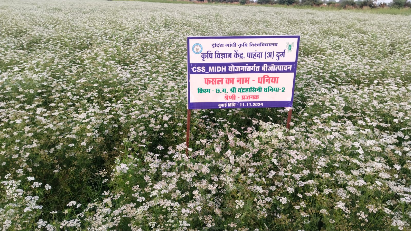 कृषि विज्ञान केन्द्र पाहंदा में एक दिवसीय प्रशिक्षण 19 मार्च को कृषि विज्ञान केन्द्र पाहंदा में एक दिवसीय प्रशिक्षण 19 मार्च को