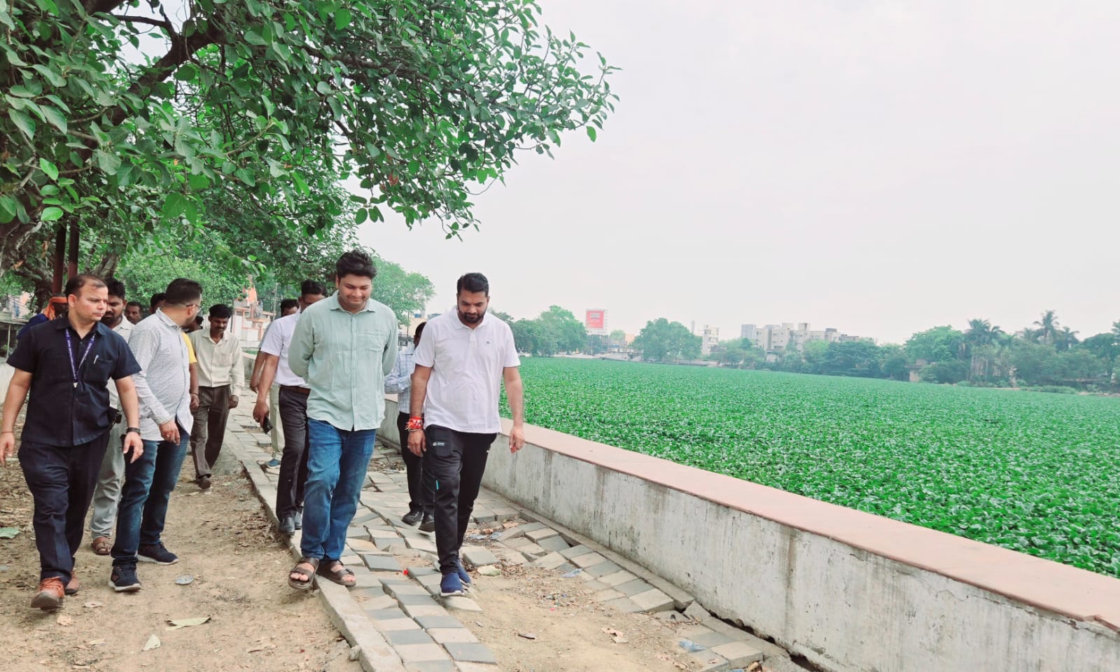 निगम आयुक्त ने राजातालाब से जलकुम्भी हटाने के दिए निर्देश निगम आयुक्त ने राजातालाब से जलकुम्भी हटाने के दिए निर्देश