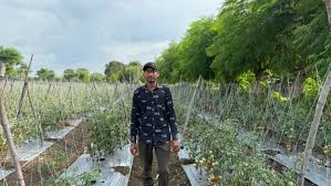 किसान हितैषी सरकार की योजनाओं से बन रहे स्वावलंबी किसान हितैषी सरकार की योजनाओं से बन रहे स्वावलंबी