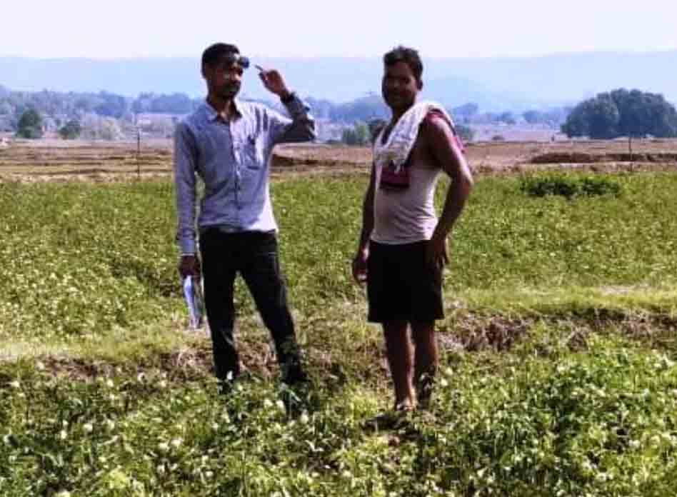 उन्नत विधि का लाभ मिल रहा किसानों को उन्नत विधि का लाभ मिल रहा किसानों को