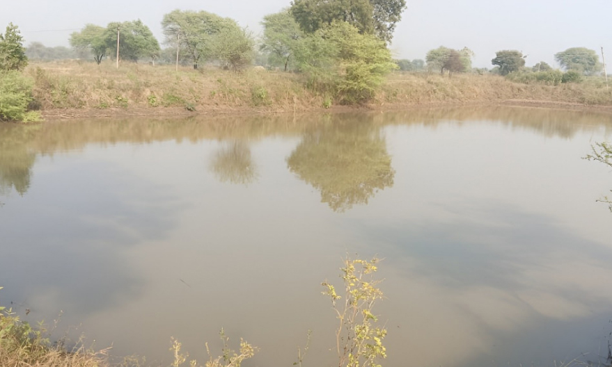 डबरी निर्माण से बढ़ा जल संरक्षण, ग्रामीणों के लिए खुल रहे आय के नए रास्ते डबरी निर्माण से बढ़ा जल संरक्षण, ग्रामीणों के लिए खुल रहे आय के नए रास्ते