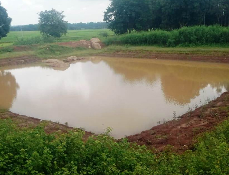 डबरी निर्माण से ग्रामीण आजीविका को मिल रही नई दिशा डबरी निर्माण से ग्रामीण आजीविका को मिल रही नई दिशा