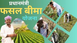 प्रधानमंत्री फसल बीमा योजना....31 दिसम्बर तक जमा होंगे प्रीमियम प्रधानमंत्री फसल बीमा योजना....31 दिसम्बर तक जमा होंगे प्रीमियम