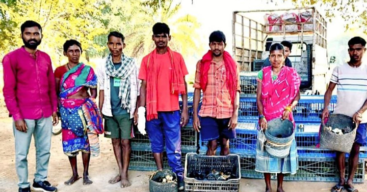 पूवर्ती के ग्रामीणों की आजीविका को मिली नई उड़ान : नियद नेल्लानार योजना से बदली तस्वीर पूवर्ती के ग्रामीणों की आजीविका को मिली नई उड़ान : नियद नेल्लानार योजना से बदली तस्वीर