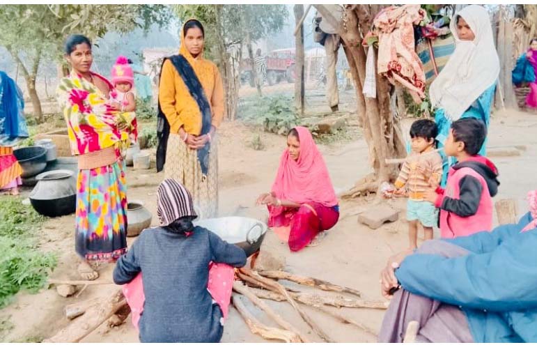छिंद के पेड़ों से बदल रही दीदियों की किस्मत छिंद के पेड़ों से बदल रही दीदियों की किस्मत