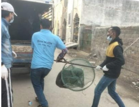 रायपुर नगर निगम द्वारा एनिमल बर्थ कण्ट्रोल कार्यक्रम का निरन्तर प्रभावी क्रियान्वयन रायपुर नगर निगम द्वारा एनिमल बर्थ कण्ट्रोल कार्यक्रम का निरन्तर प्रभावी क्रियान्वयन